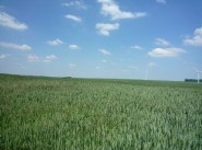 Purchase sale development site 
