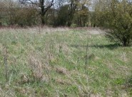 Purchase sale development site Courmont