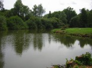 Real estate Mesnil Bruntel